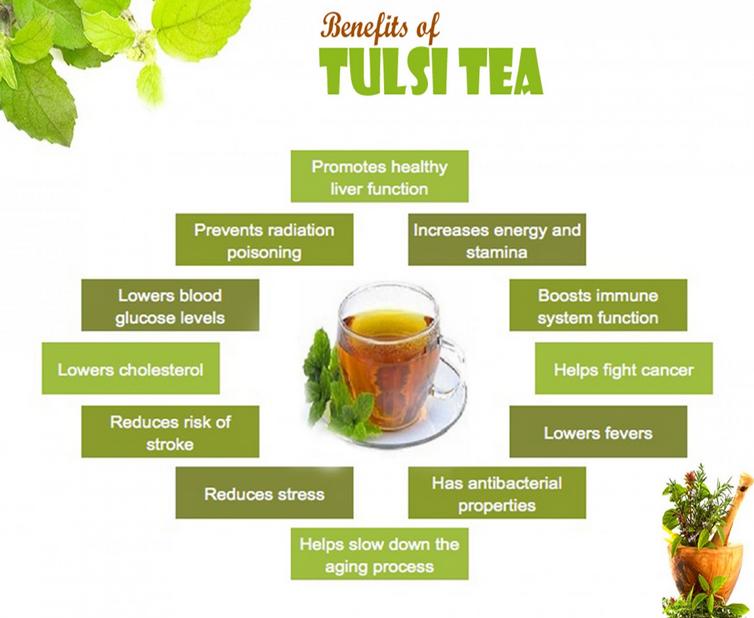 Benefits of tulsi tea