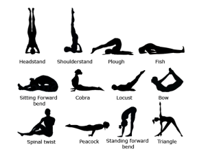 12-basic-asanas