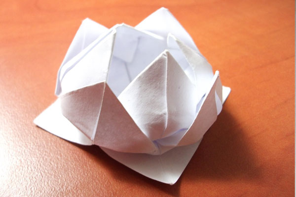 The Art of Origami