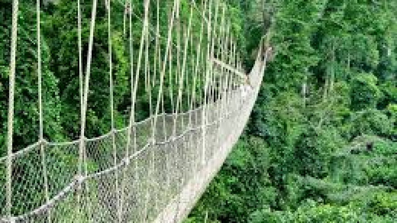 Canopy Walk Indoindianscom