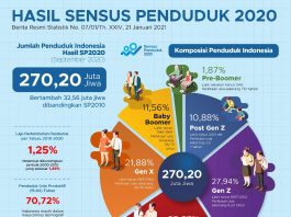 indonesia census 2020