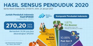 indonesia census 2020