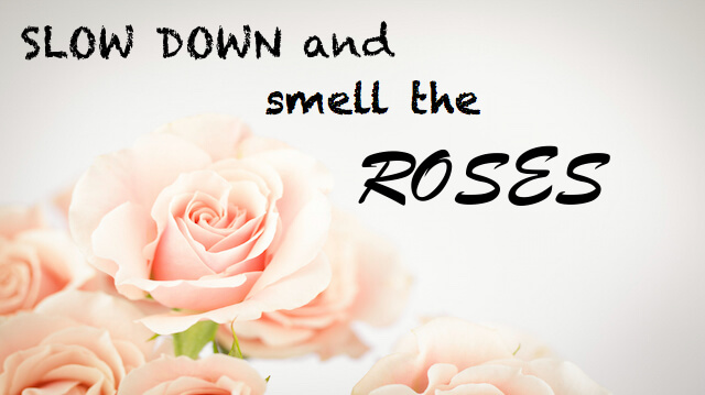 slow down and smell the roses