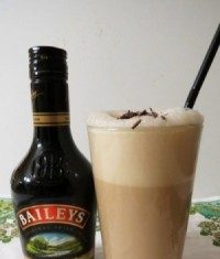 bailey shake bailey shake