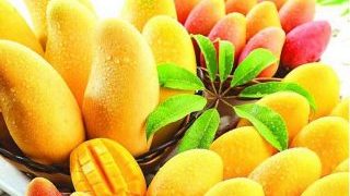 mango-tips
