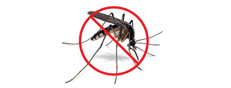 Mosquito Defense 1
