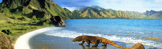 komodo-national-park