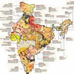 Food Map of India