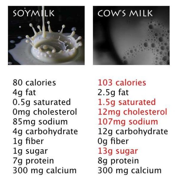 Soy milk vs Dairy milk - Nutritional comparison