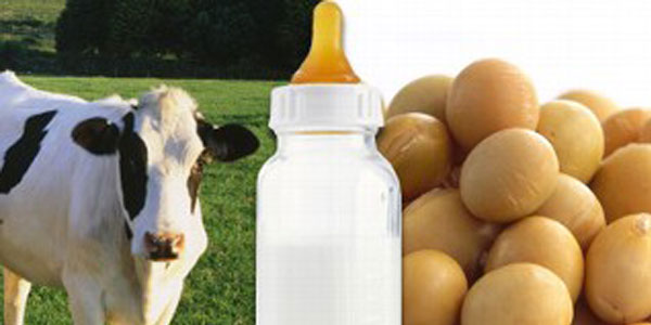 Soy Vs Cow's Milk