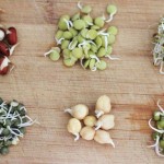 Sprout Power