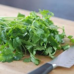 Coriander Leaf