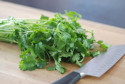 Coriander Leaf