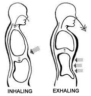 Deep abdominal breathing