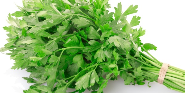 Parsley