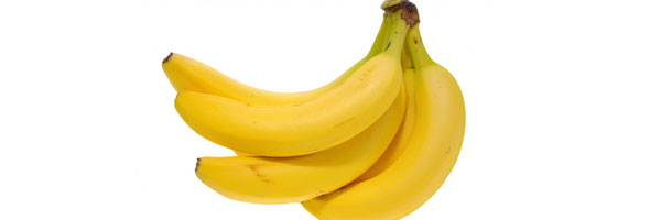Facts about Bananas