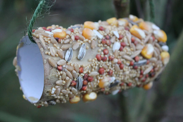 Easy to Make Bird Feeder