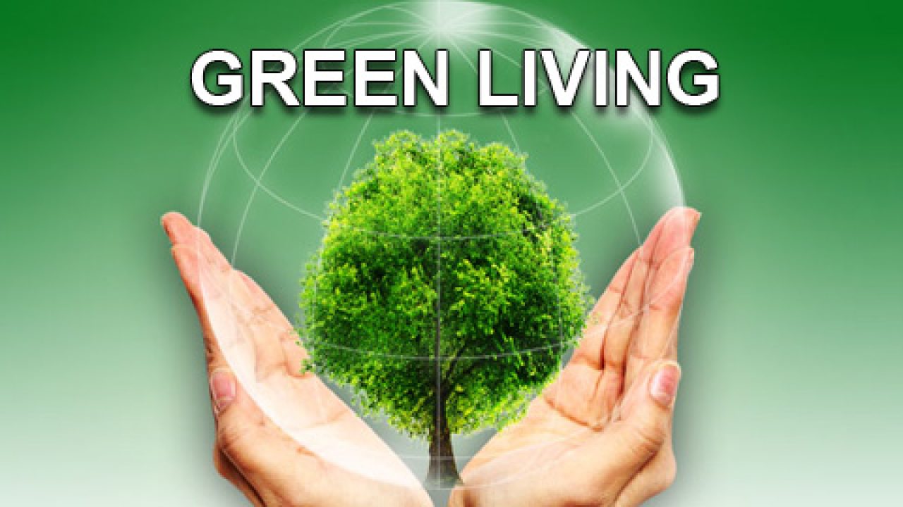 12 Practical Tips for a Greener Living - Indoindians.com