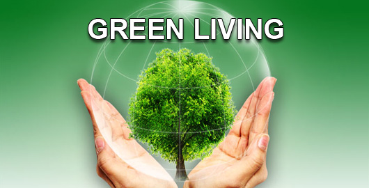 12 Practical Tips for a Greener Living