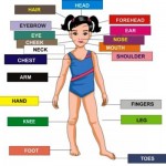 health term