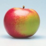 Guide to Apple Types