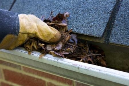 Fall-Cleanup-Leaves-in-Gutter-XL--10101