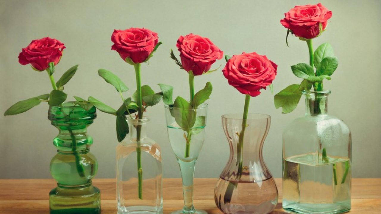 How To Make Flowers Last Longer Tips To Keep Plants And Flowers