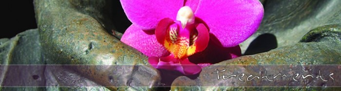 photo_header_4