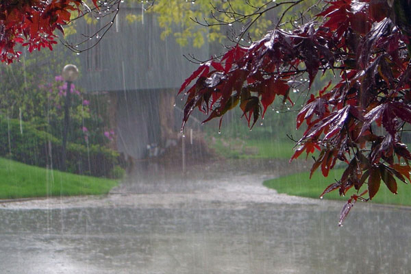 Preparing for The Rainy Season