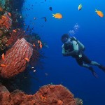 Tulamben Diving Bali Indonesia - Aquasport Dive Indonesia