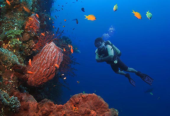 Tulamben Diving Bali Indonesia - Aquasport Dive Indonesia