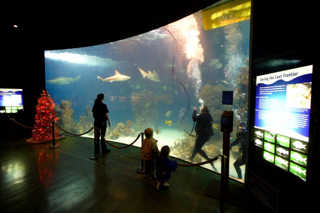 Freshwater Aquarium Museum