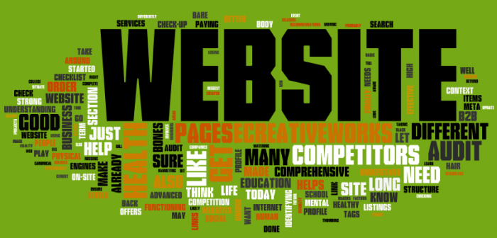 ecw-website-audit