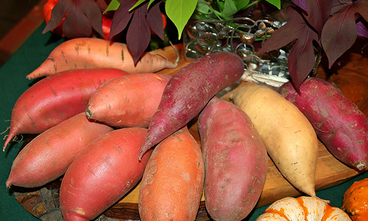 Nutritious Sweet Potatoes