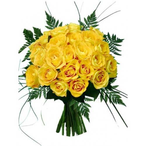 24 yellow roses