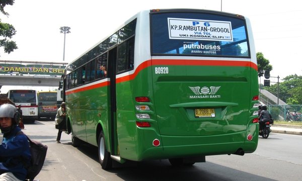 Buses