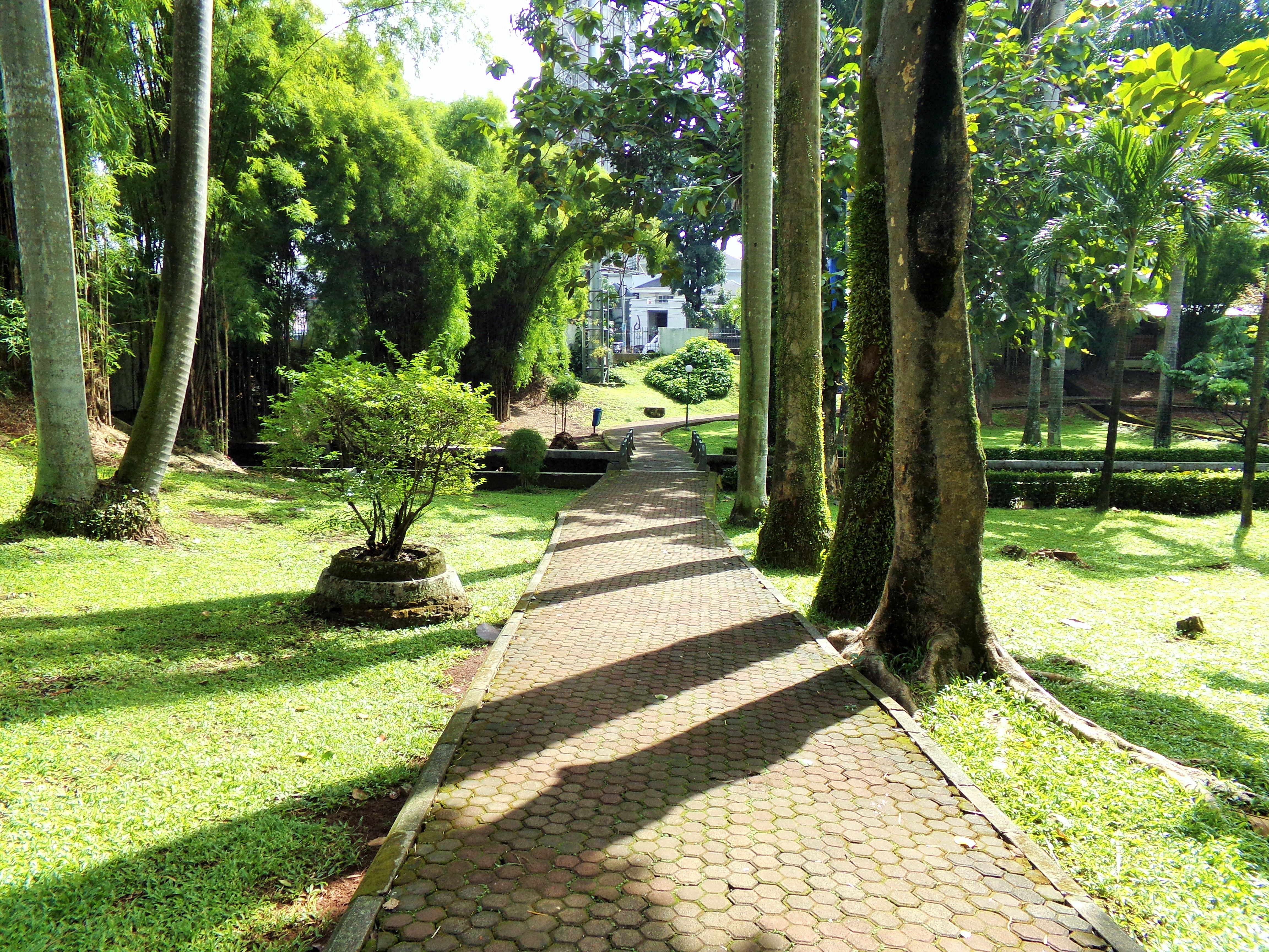 Parks in Jakarta Here Are 6 That You Can Visit Parks in Jakarta Here Are 6 That You Can Visit