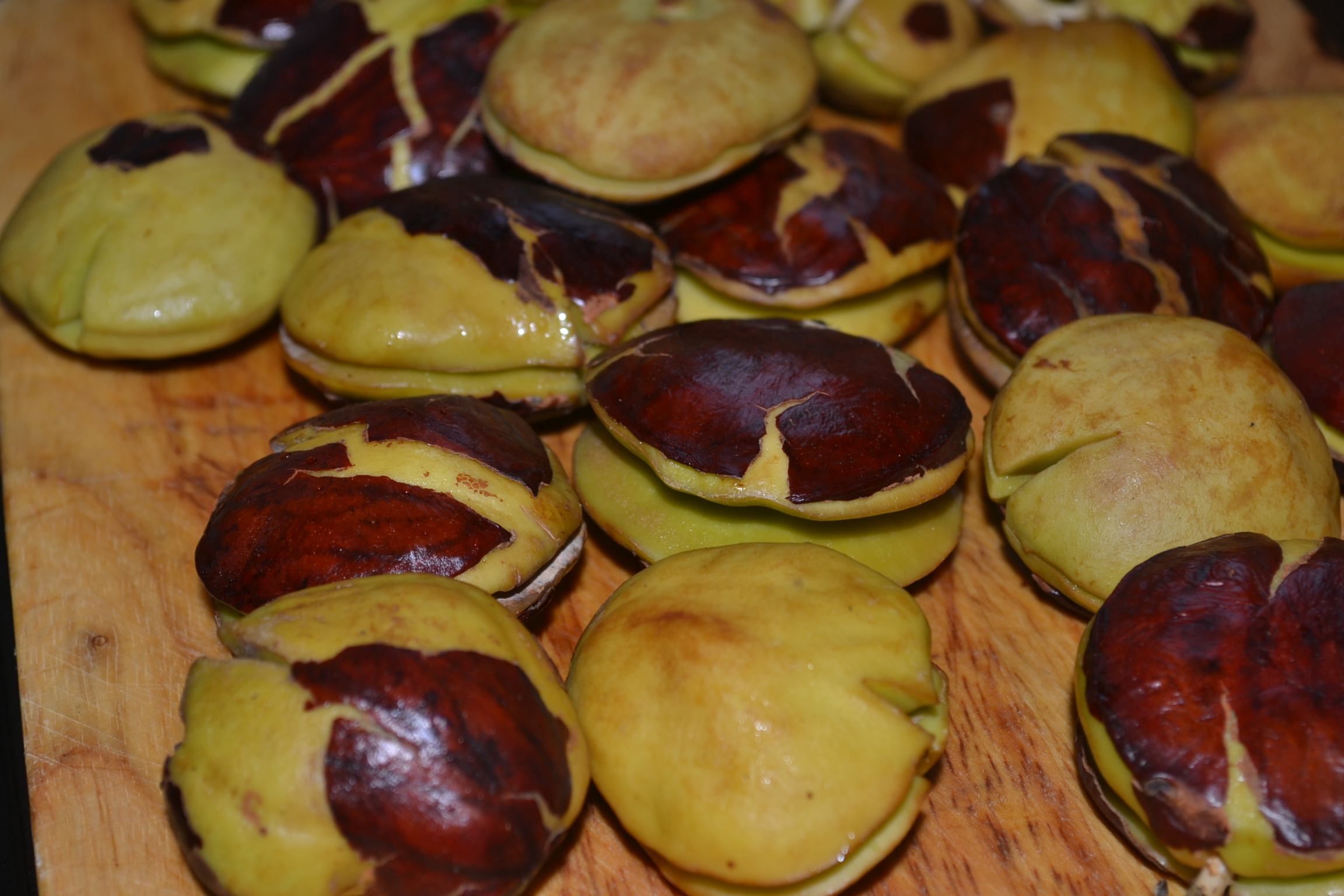 jengkol