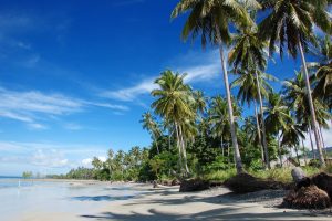 pantai gedambaan