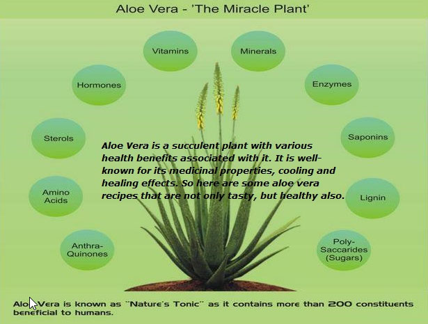 Get Healthy And Beautiful Skin With Aloe Vera Indoindians Com