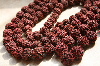 Rudraksha Seeds