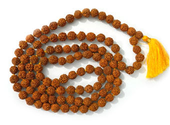 Rudraksha – The Divine Seeds