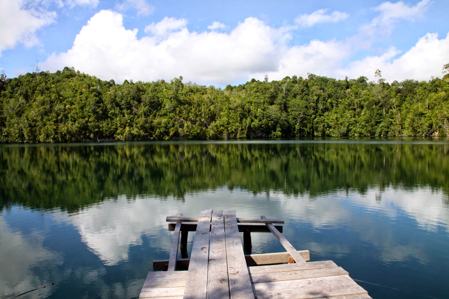 Kakaban Lake