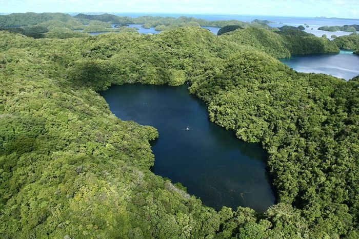 Kakaban Island from above