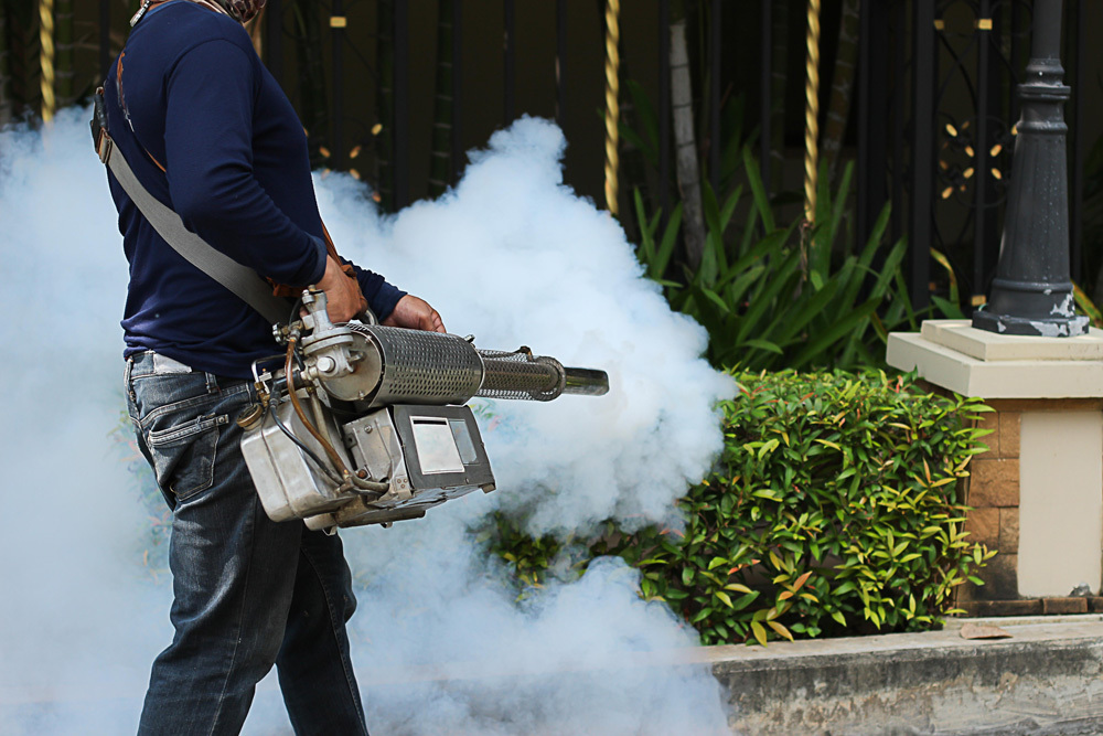 5 Recommended Pest Control Services in Jakarta