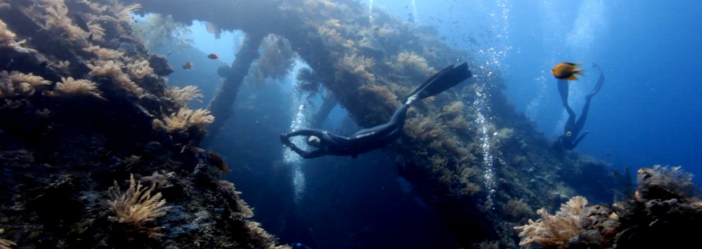 Freediving in Indonesia