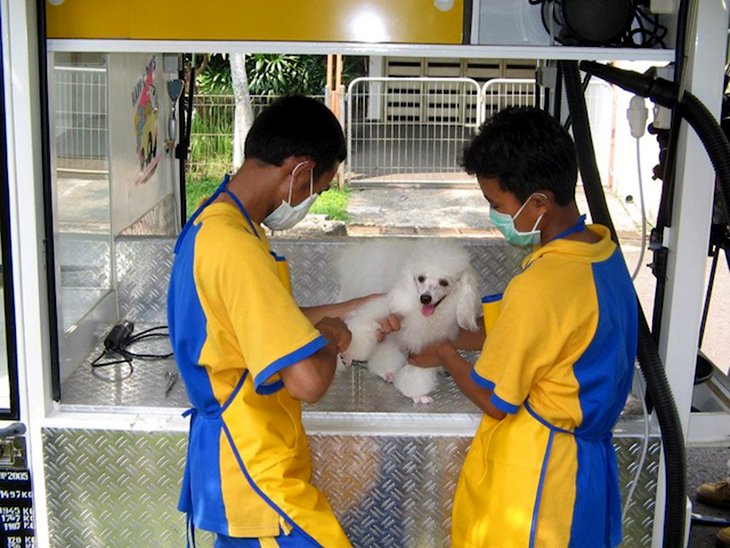 happy pets mobile pet grooming