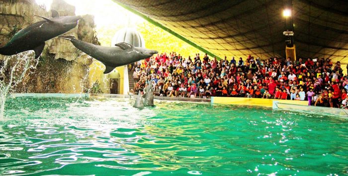 Fun Things You Can Do in Ancol Fun Things You Can Do in Ancol