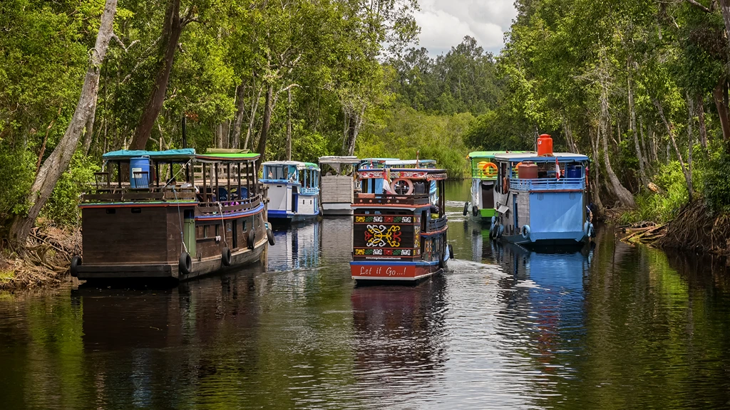 Tanjung Puting National Park Central Kalimantan