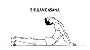 Bhujangasana